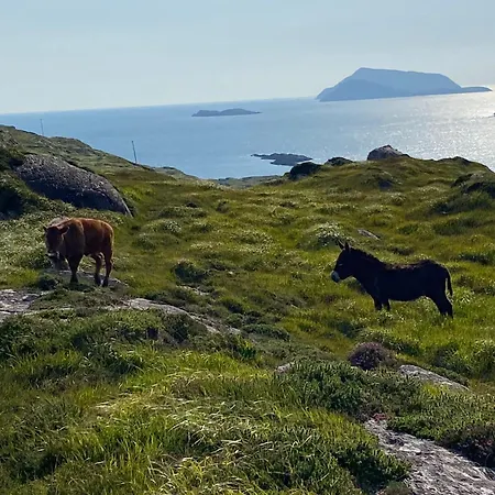 Apartment Unique Old Stone *