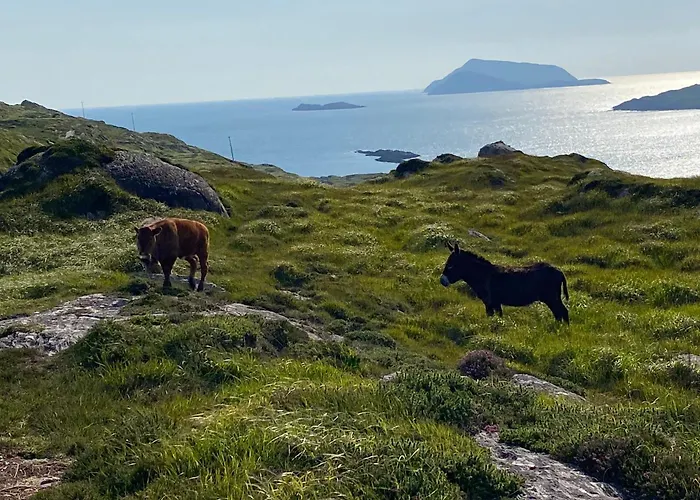 Apartman Unique Old Stone *